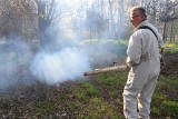 Zielona Góra. Na skwerach, parkach, przy przedszkolach. Ruszyły opryski przeciwko kleszczom w mieście [ZDJĘCIA, WIDEO]