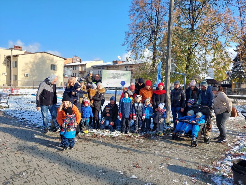 Akcja "Zapuśćmy korzenie" w Myślenicach