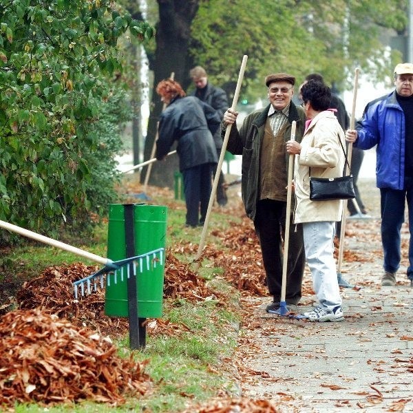 Mieszkańcy Łodzi włączyli się do akcji.  Sprzątali liście w parku staromiejskim.