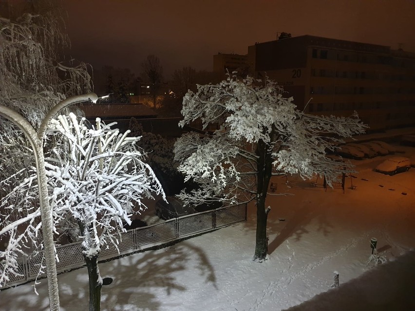 Żory zimą - jak tu pięknie! Zobaczcie ZDJĘCIA MIESZKAŃCÓW