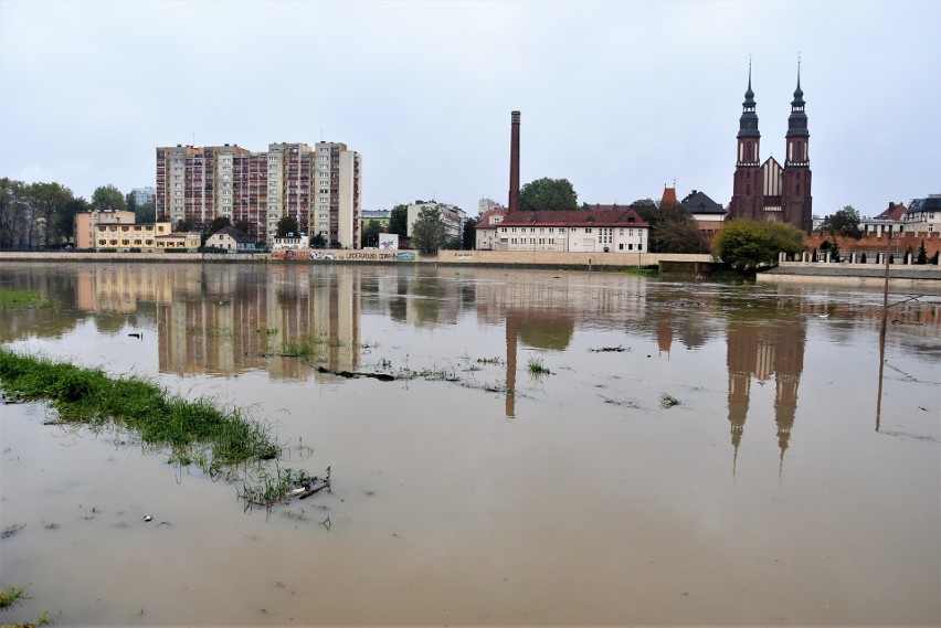 Odra w Opolu. Woda zalała przystań na Pasiece i część Parku...