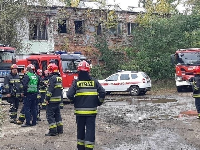 Wkrótce powinien został ogłoszony przetarg na wywóz i utylizację odpadów niebezpiecznych, które od kilku lat zalegają niemal w samym centrum Częstochowy - w halach przy ulicy Filomatów