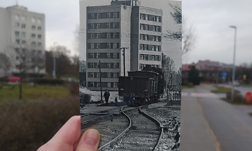 Toruń. Niezwykłe kolaże starych i nowych fotografii. Zdjęcia młodych archiwistów zrobiły furorę