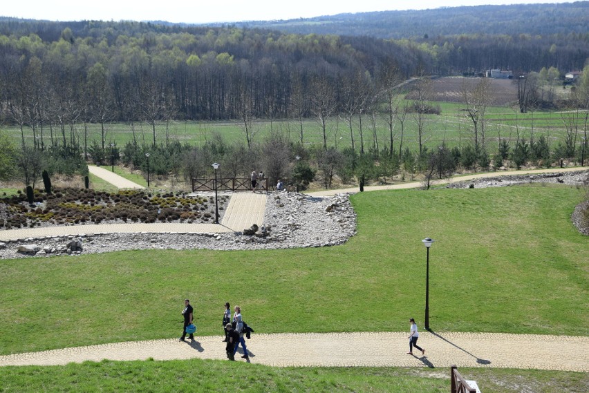 Śląski Ogród Botaniczny. Międzynarodowy Dzień Ptaków