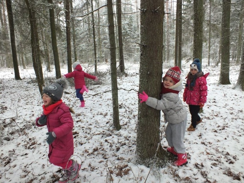 Przedszkole nr 2 w Łapach. Przedszkolaki mają zajęcia w lesie (zdjęcia)