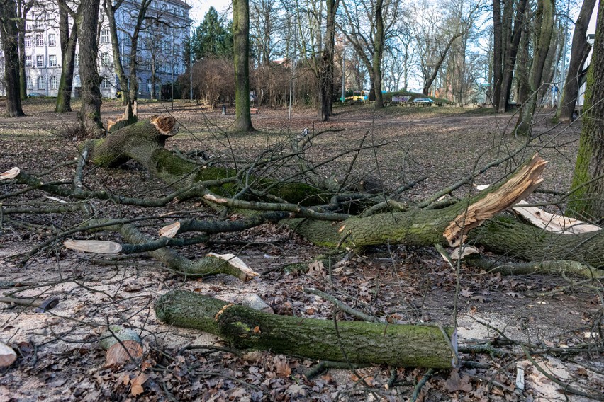 Skutki wichury Nadia w Szczecinie