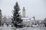 Rynek Kościuszki już zdobi wielka choinka