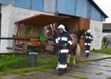 Pożar  w Obojnej. Ratowali konie z płonącej stajni 