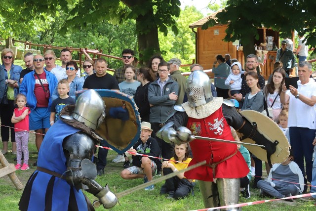Walki rekonstruktorów, wcielających się w role średniowiecznych rycerzy, były jedną z atrakcji dla publiczności na zamku w Iłży.