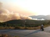 Czy Grecji grożą pożary? Minister alarmuje, kraj przygotowuje się na najgorsze. „To będzie bardzo trudne lato” 