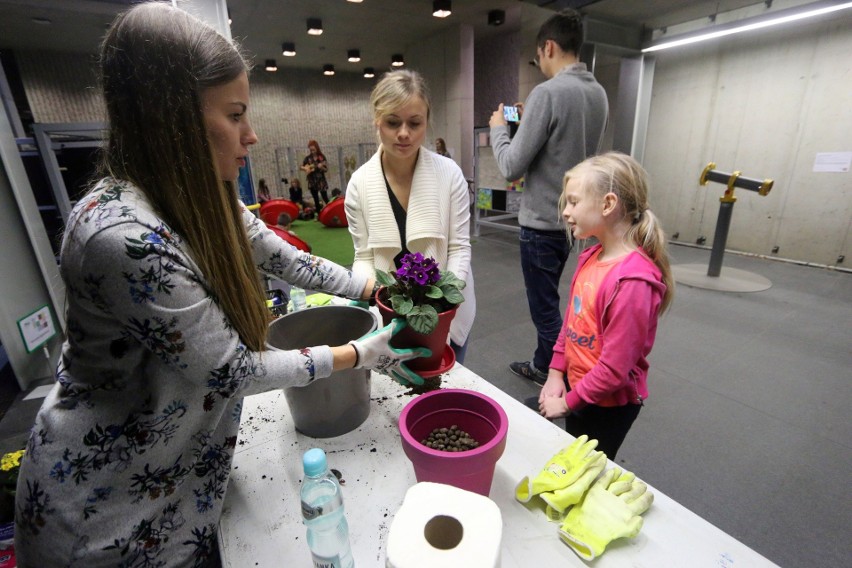 Centrum Spotkania Kultur dla dzieci. Plac zabaw powstał dzięki budżetowi obywatelskiemu (ZDJĘCIA)               