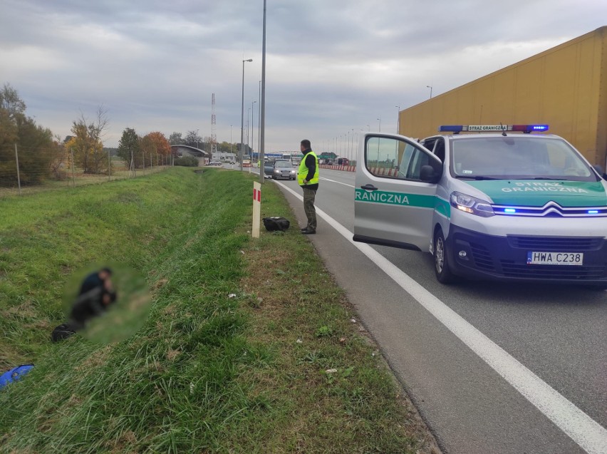 Sześciu obcokrajowców zostało zatrzymanych po nie...