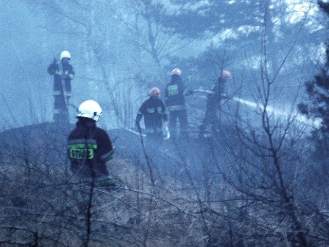 Ogień objął ok. hektara