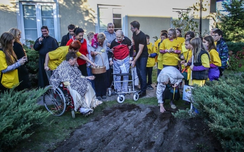 Inauguracja akcji Pola Nadziei na Pomorzu 2016