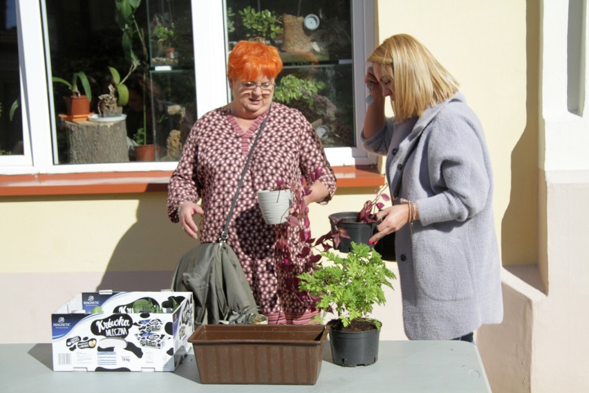 "Kwiatowymiana" w Tarnobrzegu przyciąga wiele osób. Można podarować, wymienić lub adoptować rośliny (ZDJĘCIA)