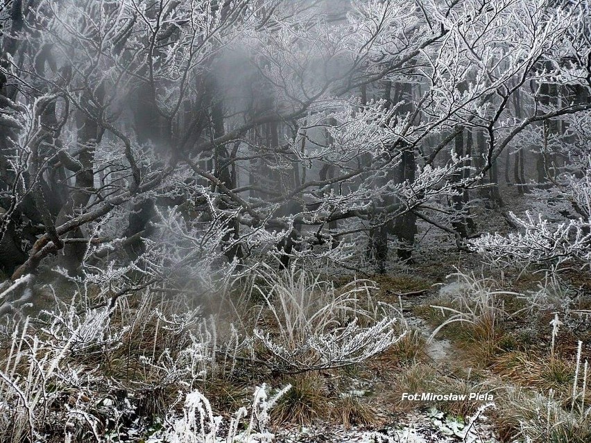 Zima zawitała na Podkarpacie. Śnieg jest już w Bieszczadach [ZDJĘCIA]