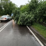 "Na razie jest spokojnie". Po ulewnych deszczach wzrasta ilość zgłoszeń