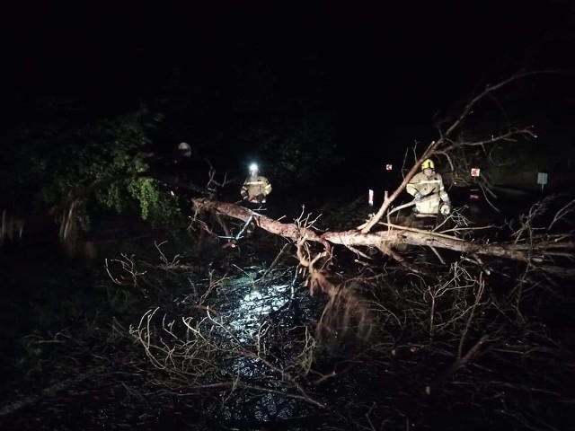 Po wichurze strażacy interweniowali w powiecie chełmińskim niemal 40 razy