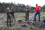 Pogorzyce. Uczniowie posadzili nowy las. W tym roku w Nadleśnictwie Chrzanów przybędzie 2 mln drzew. Zobacz zdjęcia 