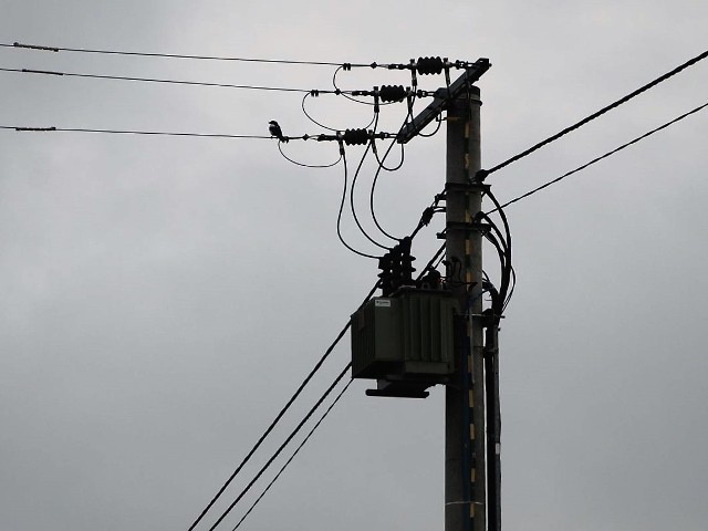 W miejscowościach powiatu radziejowskiego planowane są wyłączenia prądu.