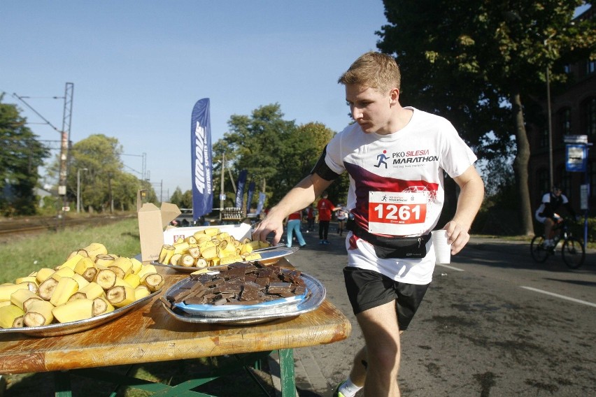 Silesia Marathon 2015 [WYNIKI, DUŻO ZDJĘĆ Z TRASY]