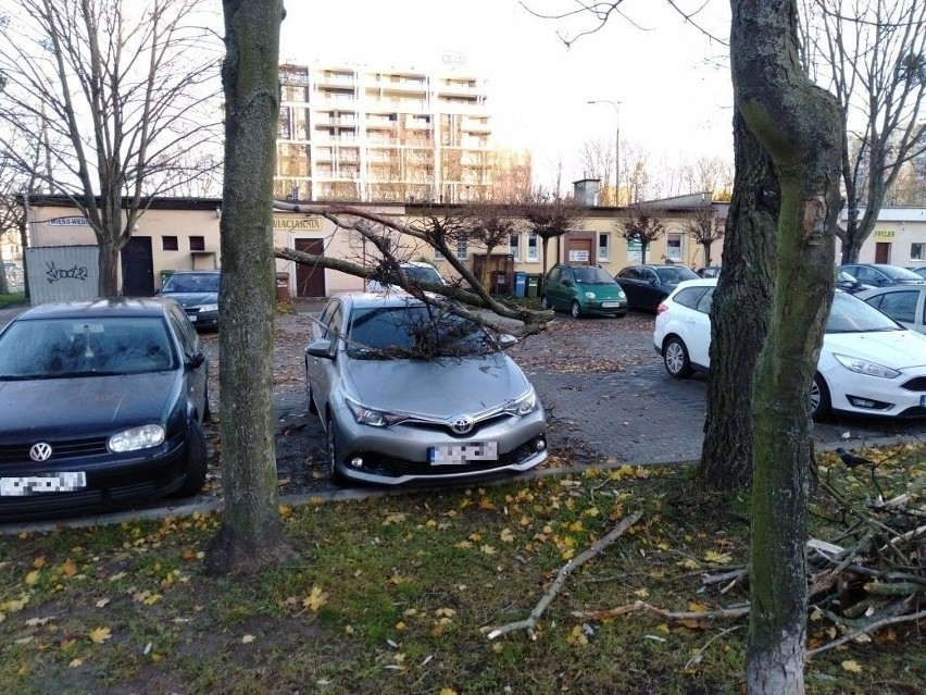 Dzisiejszy przypadek z terenu na wysokości Skłodowskiej...