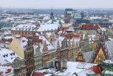 15 najlepszych atrakcji Wrocławia według Google. Które miejsca najlepiej oceniali turyści? Podajemy ceny biletów i godziny otwarcia