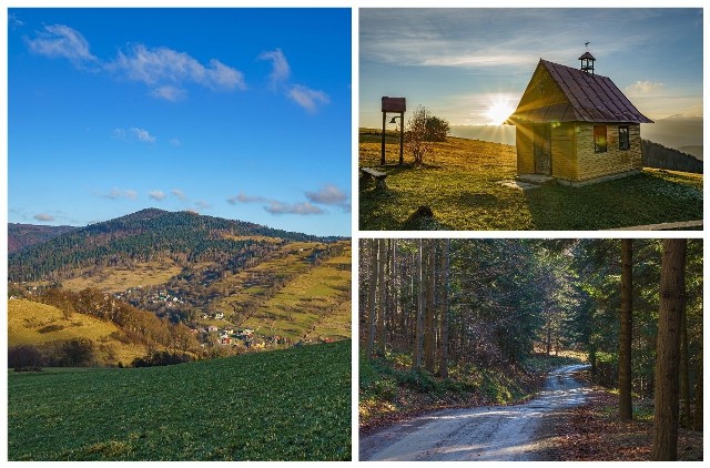 Góra Kicarz to atrakcyjne miejsce do uprawiania różnych form turystyki. Znajduje się w południowo -zachodnim paśmie Jaworzyny Krynickiej i wznosi się na 704 m n.p.m.