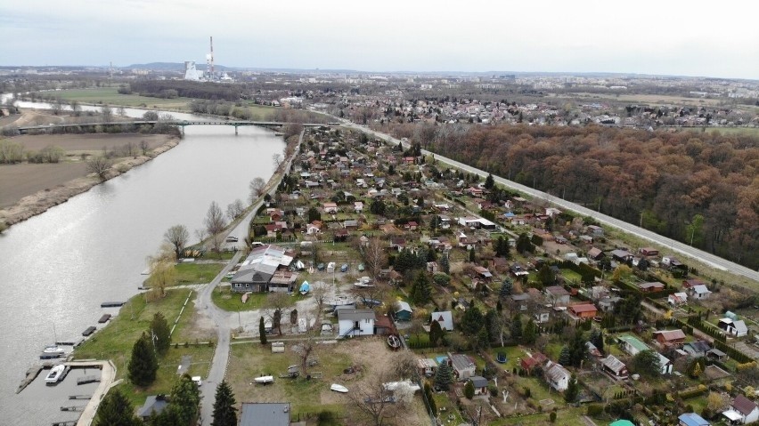 Renesans ogrodów działkowych w Krakowie. Działkami coraz częściej zainteresowani są nawet 30-latkowie! Ogródki tanie jednak nie są