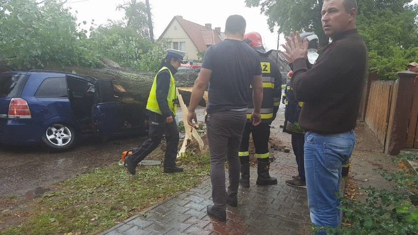 Wypadek pod Dobrzanami. Drzewo spadło na samochód