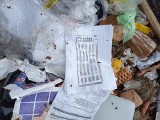 Śmieci i firmowe papiery z marketu Biedronka w lesie pod Skarżyskiem-Kamienną. Znana sieć wyjaśnia. Zobaczcie zdjęcia