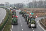 Protest rolników. Ponad 80 proc. Polaków popiera obecny strajk i blokady na drogach - sondaż CBOS