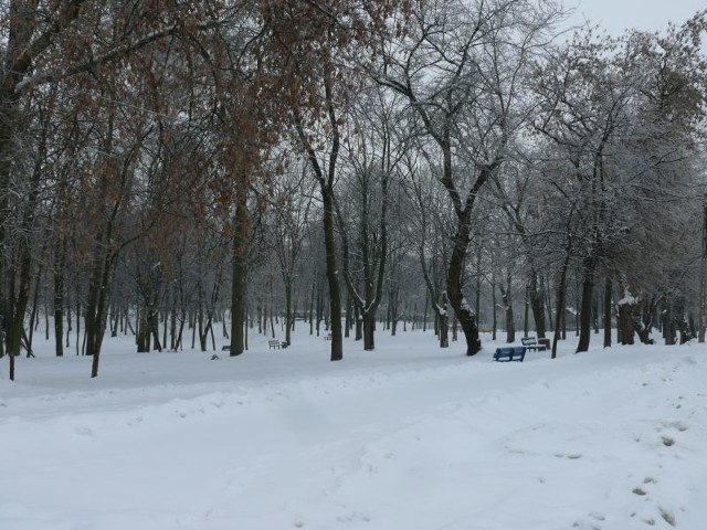 Tak wygląda obecnie park przy ulicy Świętej Barbary w Jędrzejowie.
