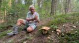Wielki wysyp grzybów w gorlickich lasach. Piękne okazy można znaleźć na Magurze Małastowskiej, w Bartnem i Sękowej 5.07.2023