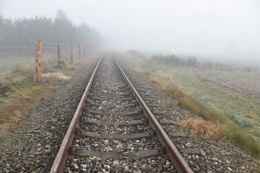 Płot będzie miał aż 41 kilometrów. Powstaje wzdłuż linii...