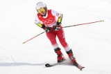 PZN odkrywa karty na sezon 2023-2024. Oto składy kadr narodowych w narciarstwie alpejskim, kombinacji, biegach i skokach kobiet
