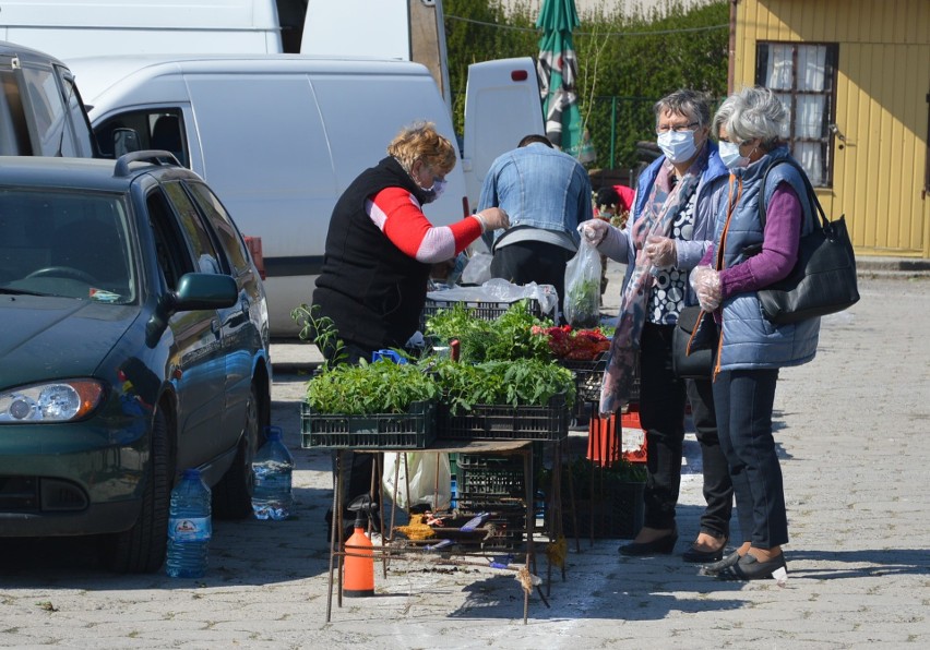 Środowy targ przy ulicy Brodzińskiego w Proszowicach