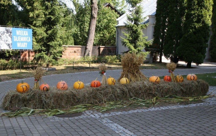 Dożynki w gminie Oleśnica. Mieszkańcy dziękowali za plony (ZDJĘCIA)