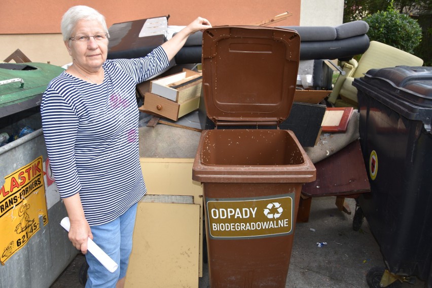 W pojemnikach na śmieci pojawiły się ostatnio robaki