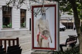 Kontrowersyjna wystawa we Wrocławiu zniszczona. Sprejami zamazano gabloty. "To promowanie pedofilii i LGBT"