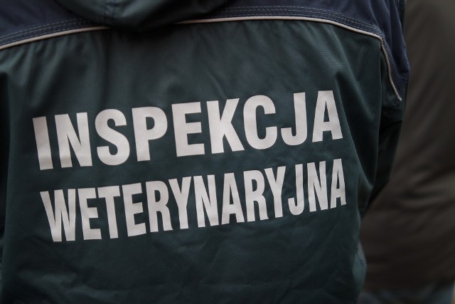 Wcześniej pracownicy inspekcji weterynaryjnej masowo występowali o podwyżki, teraz będą protestować