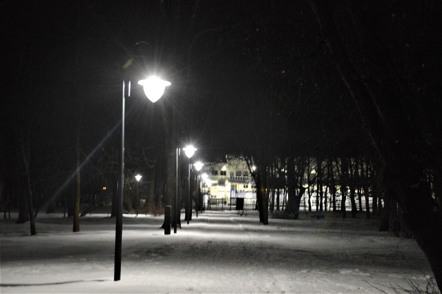 Minionej zimy park miejski w Proszowicach był oświetlony