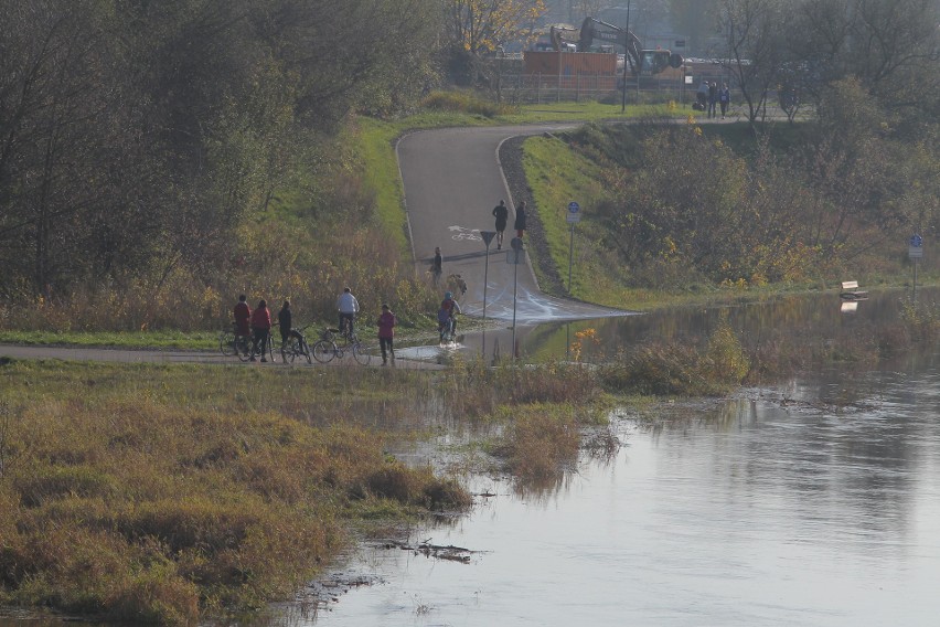 Wysoki stan wody w poznańskich rzekach