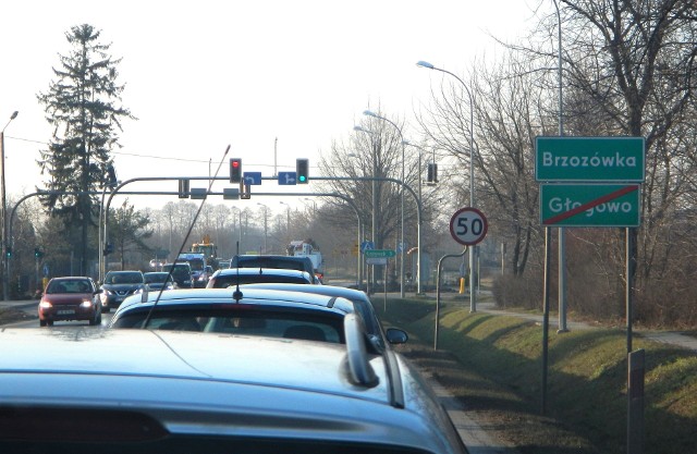 Celem sobotniej wycieczki OM PTTK w Toruniu będzie m.in. Brzozówka.