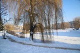 Ełk. Nowa inwestycja w mieście. Wybudują plażę na os. Północ