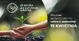 Akcja ekologiczna Echa Dnia "Drzewko za surowce wtórne" w Sandomierzu! Oddaj makulaturę, plastikowe nakrętki lub baterie i odbierz sadzonki