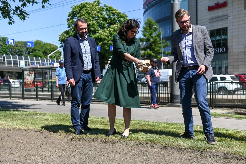 Sianie nowej łąki we Wrzeszczu z udziałem prezydent...