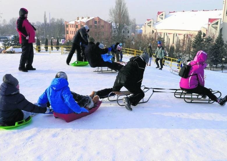 Na osiedlach i w parkach słychać trele sikorek, na bzach i...