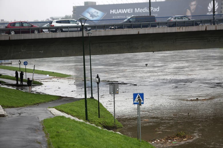 Kraków. Nowa miejska jednostka i jej walka ze zmianami klimatycznymi. Potrzeba 8 miliardów złotych