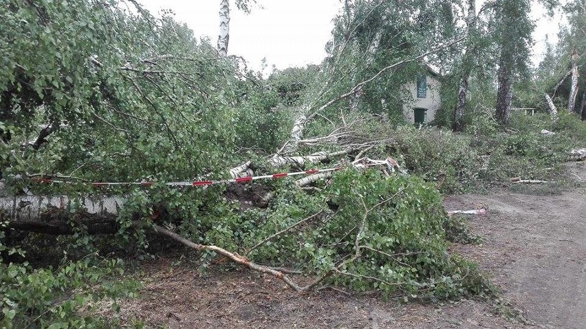 Zniszczenia w ośrodku Kaszubski Bór w Sominach.